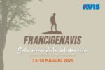 Ultime tappe di FrancigenAVIS 2025: il cammino si conclude a Roma con l’Angelus Ultime tappe di FrancigenAVIS 2025: il cammino si conclude a Roma con l’Angelus